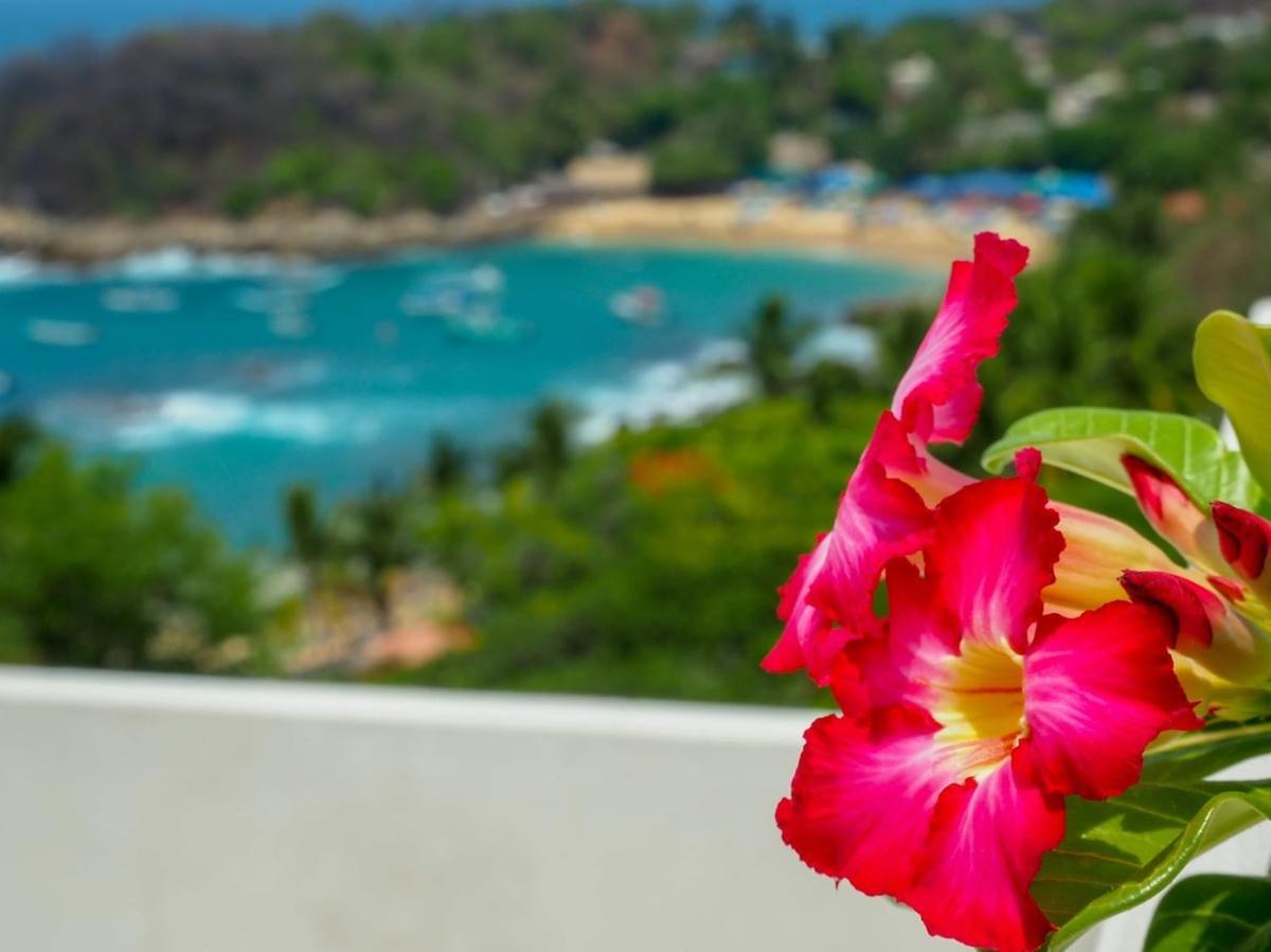 Hotel Casa Cascada - Adults Only à Puerto Escondido  Extérieur photo